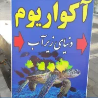 دنیای زیر اب