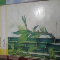 کتاب درسی پایه یازدهم رشته فتو گرافیک|کتاب و مجله آموزشی|تهران, مولوی|دیوار