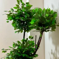 ساخت انواع درختچه مصنوعی|گل مصنوعی|گرگان, |دیوار