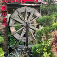 شاطر و  باریستا کار در رستوران