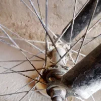 دوچرخه|دوچرخه، اسکیت، اسکوتر|سراوان, |دیوار