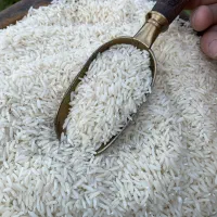 برنج طارم درجه یک