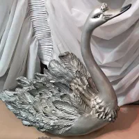 قو تزئینی مناسب گل آرائی و میوه آرائی