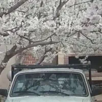 وانت پیکان ۹۲