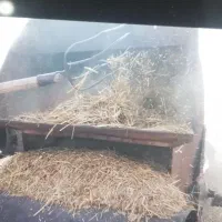 کاه گندم|حراج|نیشابور, مازول|دیوار