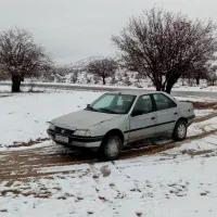 روادوگانه مدل87