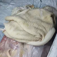 فروش پاچه گوساله|خوردنی و آشامیدنی|فلاورجان, |دیوار