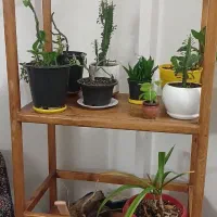 وسایل خونه|حراج|مشهد, نوید|دیوار