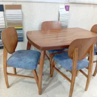مدل فیلی