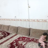 پشتی دست دوم|پشتی|گلستان (تهران), |دیوار