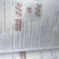 زیست دوازدهم خیلی سبز