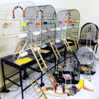 فروشگاه لوازم جانبی پرندگان