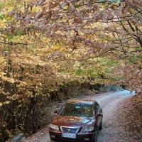 اجاره خودرو ازرا شرابی