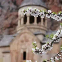 (تفلیس/باتومی اقسطی بدون پیش پرداخت)|تور و چارتر|تهران, افسریه شمالی|دیوار