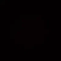 آشپز حرفه ای برای راه اندازی