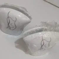 چینی پارمیس هجده نفره فنجان نعلبکی دوازده نفره|ظروف سرو و پذیرایی|صباشهر, |دیوار