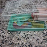 یک عدد قفس پرنده|لوازم جانبی حیوانات|کرمانشاه, |دیوار