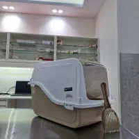 محصولات نگهداری گربه