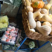 فروش وسایل مغازه میوه فروشی