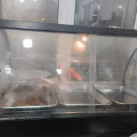 اجاره مغازه چهل متری|اجارهٔ مغازه و غرفه|خرمشهر, |دیوار