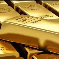 یک قطعه طلا پیدا شده