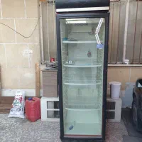 یخچال ایستاده برای کافه. مغازه رستوران