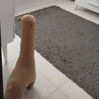 قالیچه‌ پرز دار تمیزو سالم