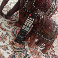 مجسمه فیل|مجسمه، تندیس، ماکت|سبزوار, چهارراه فرودگاه|دیوار