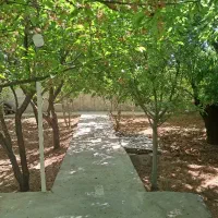 خانه-قدیمی-لب-خیابان-رحمت-آباد-زیر-قیمت-کارشناسی