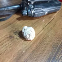 فسیل دو عدد|کلکسیون اشیاء عتیقه|کارون, |دیوار