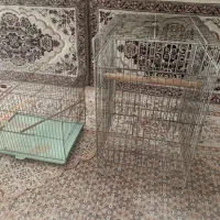 قفس پرنده|لوازم جانبی حیوانات|قم, تعویض پلاک|دیوار