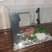 آکواریوم رومیزی|ماهی|اسلام‌شهر, شهرک مهدیه|دیوار