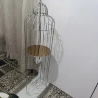 استندکنارسالنی