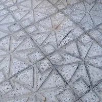 یک سگ پیدا شده