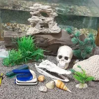 آکواریوم ماهی باتمام لوازم برقی و تزعینی|ماهی|نیشابور, مدرس|دیوار