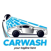 کارگر کارواش