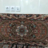 پشتی نو