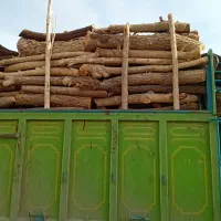 خرید چوب باغی