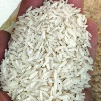 فروش برنج ایرانی معطر و باکیفیت