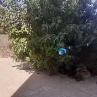 رهن و اجاره