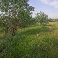 فروش زمین۷۰۰ متری در زین آباد (جاده امند ایوند )