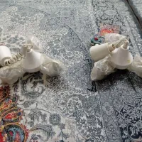 ۲ عدد هلدور ۳ عددی