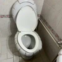 توالت فرنگی سالم
