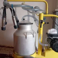 شیردوش گاو
