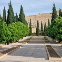 فروش باغ گردو