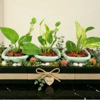 گل طبیعی بسیار زیبا