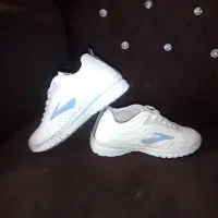 کفش|کیف، کفش، کمربند|شیراز, شهرک مدرس|دیوار