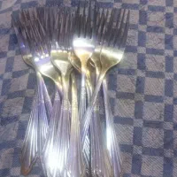 ۱۶عدد چنگال یک مدل و۱۰ عدد قاشق یک مدل