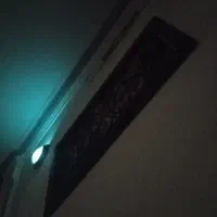 هم خونه