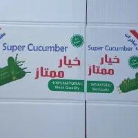 کارتن خیار بزرگ و محکم